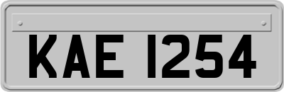 KAE1254