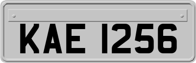 KAE1256
