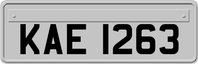 KAE1263