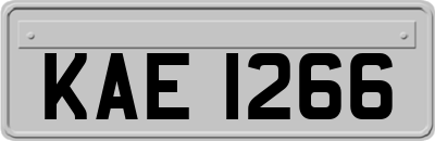 KAE1266