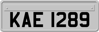 KAE1289