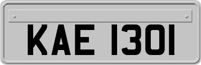 KAE1301