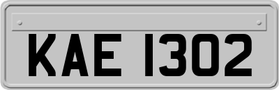 KAE1302