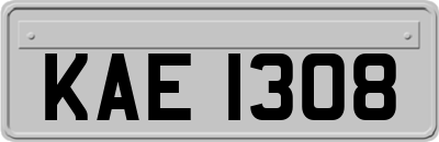 KAE1308