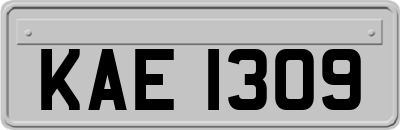 KAE1309