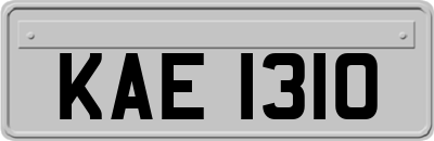 KAE1310