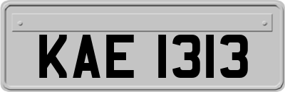 KAE1313