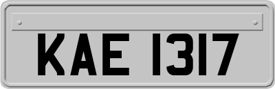 KAE1317