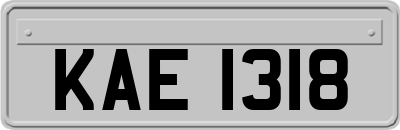 KAE1318