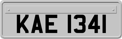 KAE1341
