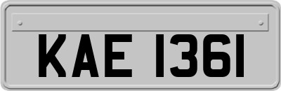 KAE1361