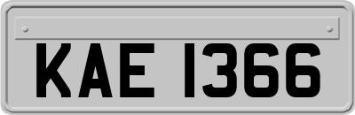 KAE1366