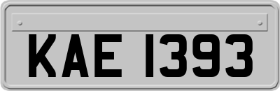 KAE1393