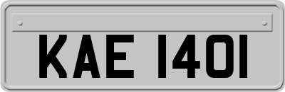 KAE1401