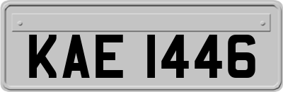 KAE1446