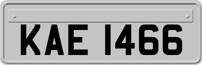 KAE1466