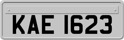 KAE1623