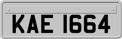 KAE1664