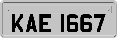 KAE1667