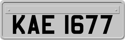 KAE1677
