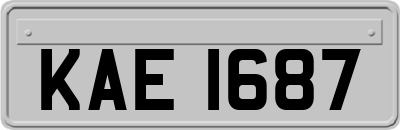 KAE1687