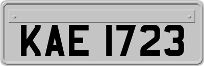 KAE1723