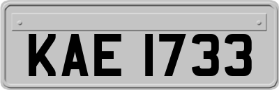 KAE1733