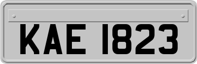 KAE1823