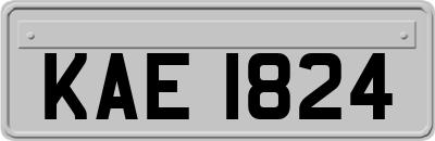 KAE1824