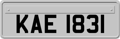KAE1831
