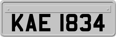 KAE1834