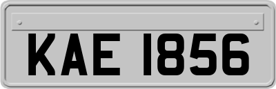 KAE1856