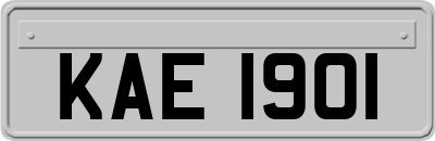 KAE1901