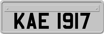 KAE1917