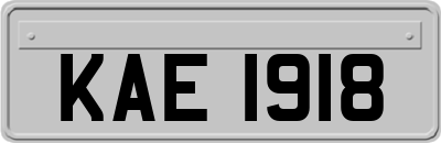 KAE1918