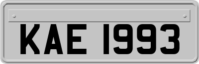 KAE1993