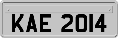 KAE2014