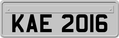 KAE2016