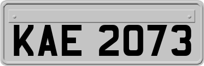 KAE2073