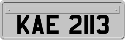 KAE2113
