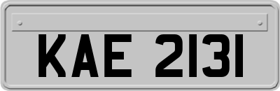 KAE2131