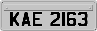 KAE2163