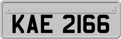 KAE2166