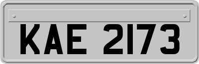 KAE2173