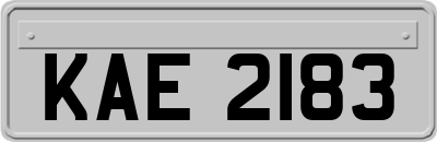 KAE2183