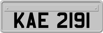 KAE2191