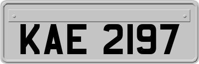 KAE2197