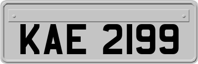 KAE2199