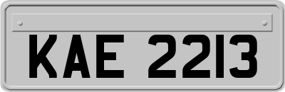 KAE2213