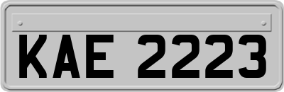 KAE2223